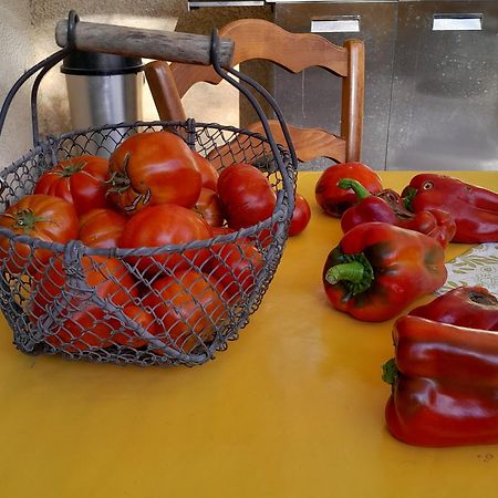 Appartamento Le Mazet De Louise Saint-Rémy-de-Provence Esterno foto