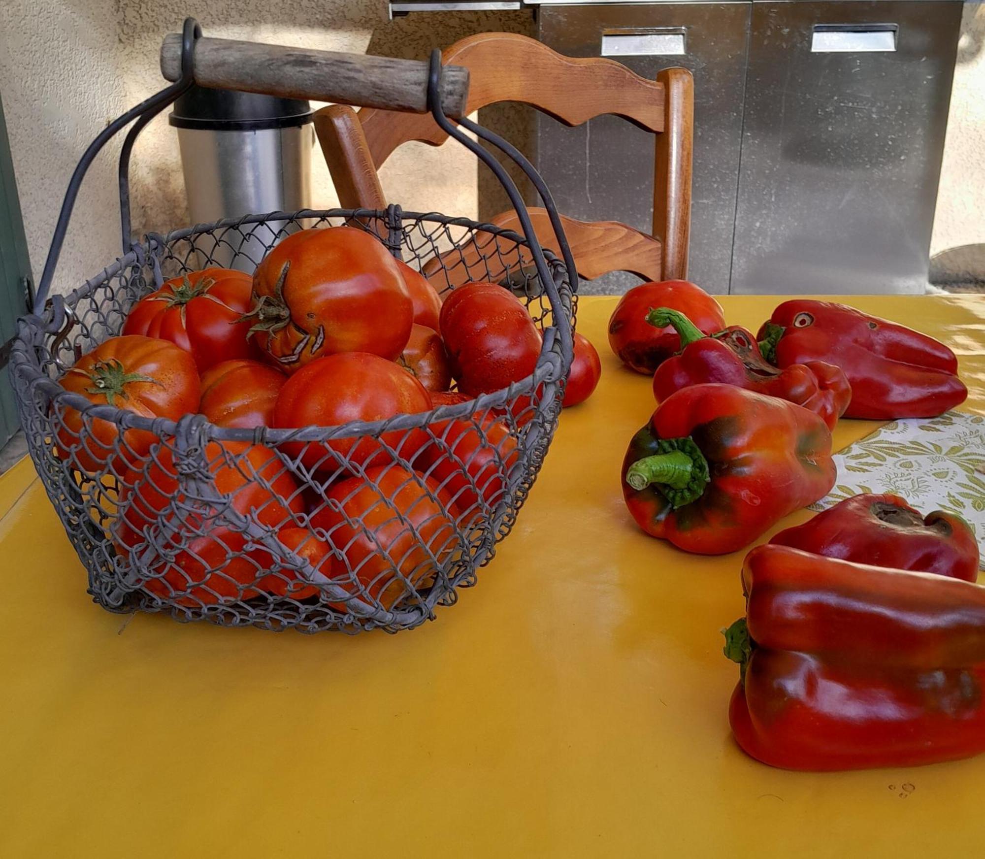 Appartamento Le Mazet De Louise Saint-Rémy-de-Provence Esterno foto